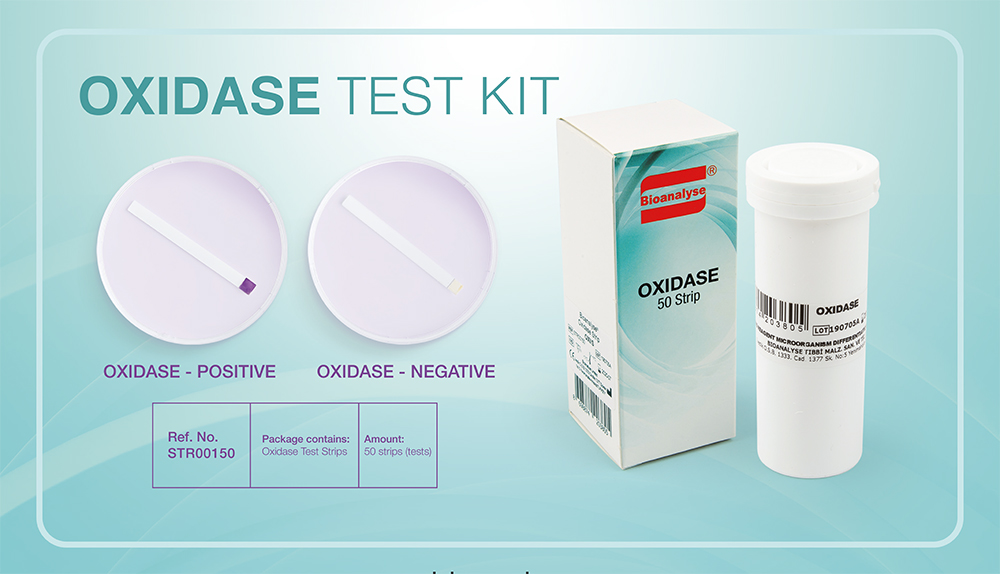 Bioanalys - Oxidase Test Kit